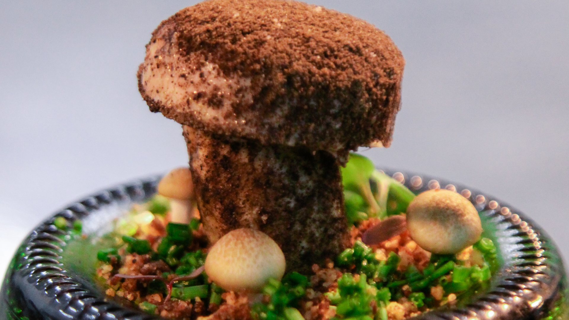 Gourmet mushroom mousse garden