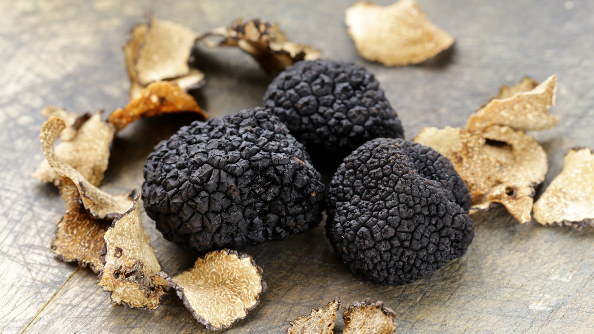 Black Truffles